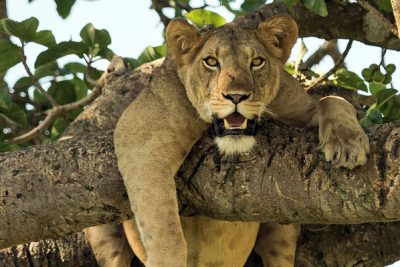 uganda photography group tours