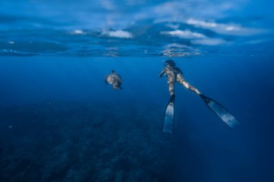 Galapagos Snorkeling small group tour featured image